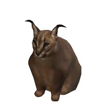 Low poly 3D floppa model