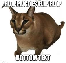 Floppa goes flip flop, bottom text meme
