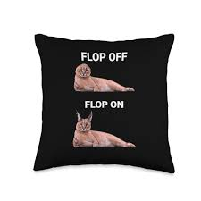 Flop off flop on pillow meme