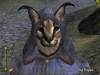 Floppa as a video game character