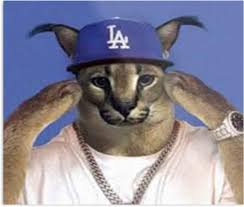 Floppa wearing an LA cap representing the gang