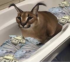Floppa sitting in a bathtub full of cash