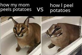 How my mom vs how I peel potatoes meme